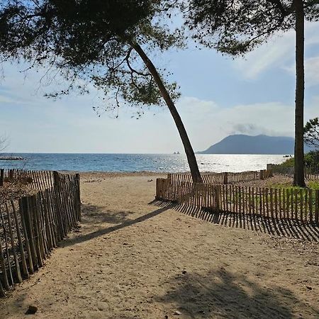 Petit Paradis Classe 3 Etoiles A 200M De La Plage! Terrasse-Wifi-Parking-Clim Saint-Mandrier-sur-Mer Exterior foto