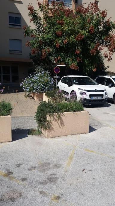 Petit Paradis Classe 3 Etoiles A 200M De La Plage! Terrasse-Wifi-Parking-Clim Saint-Mandrier-sur-Mer Exterior foto