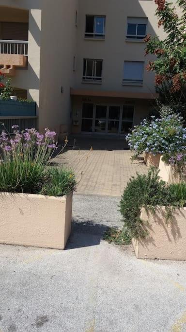 Petit Paradis Classe 3 Etoiles A 200M De La Plage! Terrasse-Wifi-Parking-Clim Saint-Mandrier-sur-Mer Exterior foto