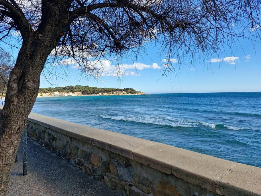 Petit Paradis Classe 3 Etoiles A 200M De La Plage! Terrasse-Wifi-Parking-Clim Saint-Mandrier-sur-Mer Exterior foto